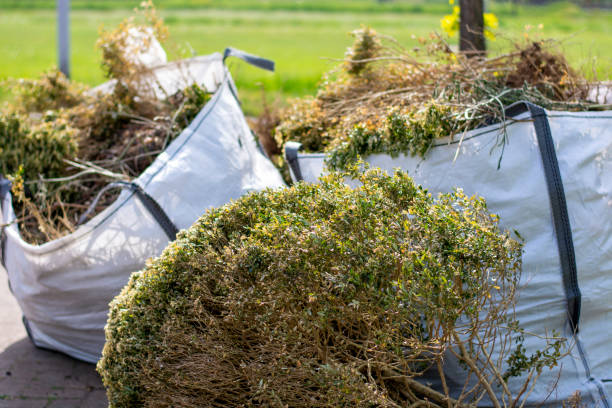 Best Yard Cleanup Services  in Chimayo, NM
